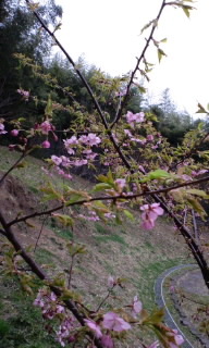 120323_0737~010001.jpg