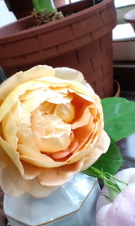 120522_1030~010001.jpg