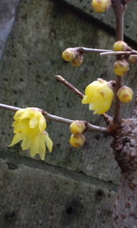 130123_1231~010001.jpg
