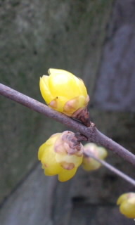 130123_1232~010001.jpg