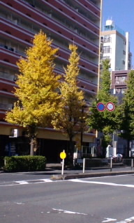131127_1114~010001.jpg