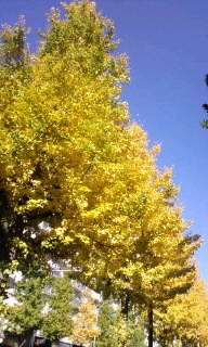 131127_1120~010001.jpg