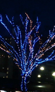 141227_1704~020001.jpg