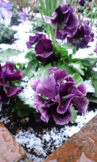 150101_1235~010001.jpg