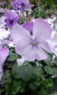 150101_1235~020001.jpg