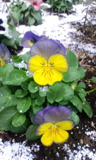 150101_1236~010001.jpg