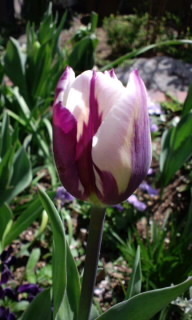150402_1327~010001.jpg