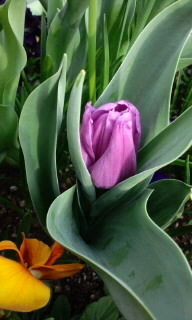 160331_1602~010001.jpg