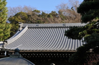 DSC_0027.jpg