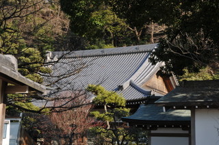 DSC_0030.jpg