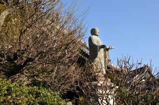 DSC_0031.jpg