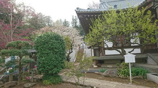 DSC_0042 西林寺.jpg