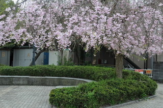 DSC_0220.jpg