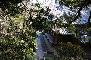 DSC_0319.jpg
