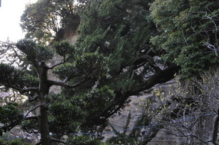 DSC_0321.jpg