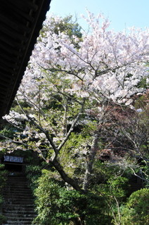 DSC_0323.jpg