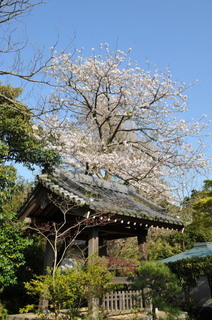 DSC_0337.jpg