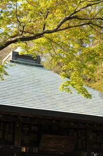 DSC_0339.jpg