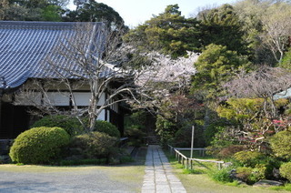 DSC_0341.jpg