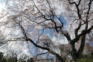 DSC_3228.jpg