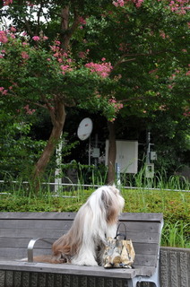 DSC_4511.jpg