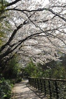 DSC_9244.JPG