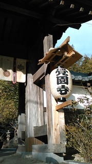 KIMG0449.JPG