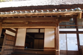 P1022991.jpg