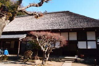 P1022994.jpg