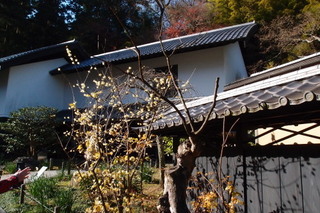 P1023047.jpg