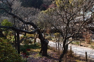 P1023084.jpg