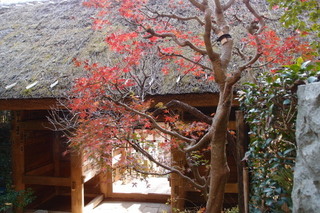 P1053177.jpg