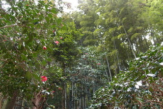 P1053208.jpg