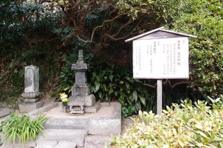 P1063243.jpg