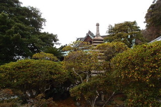 P1063246.jpg