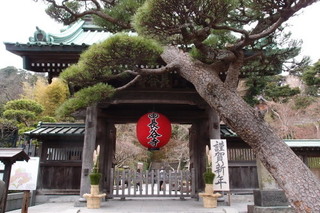 P1063250.jpg