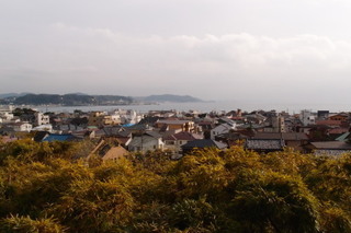 P1063267.jpg