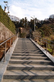 P1083325.jpg