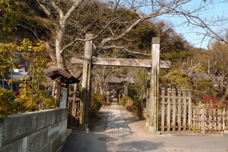 P1083326.jpg