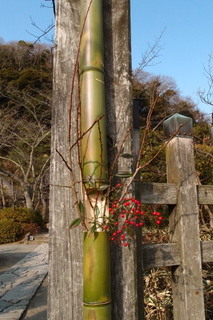 P1083328.jpg