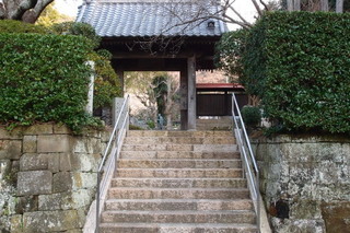 P1083330.jpg