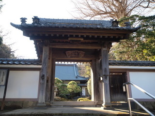 P1100204.jpg