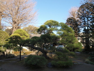 P1100217.jpg
