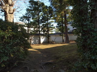 P1100223.jpg