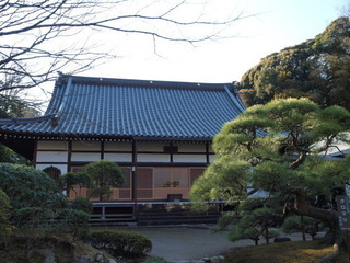P1100225.jpg