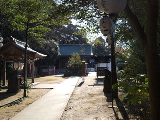 P1100228.jpg