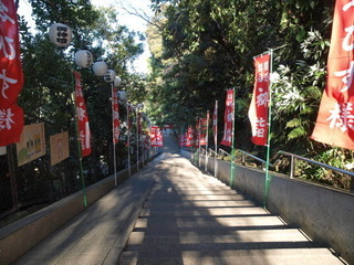 P1100230.jpg