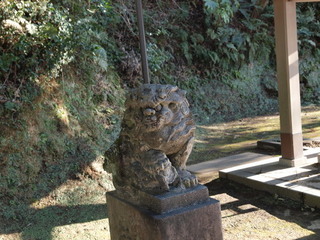 P1100231.jpg