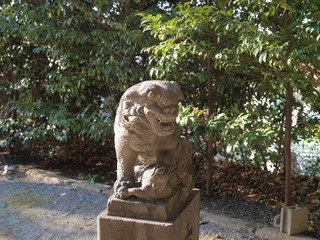 P1100232.jpg