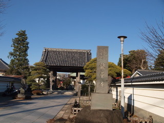 P1100239.jpg